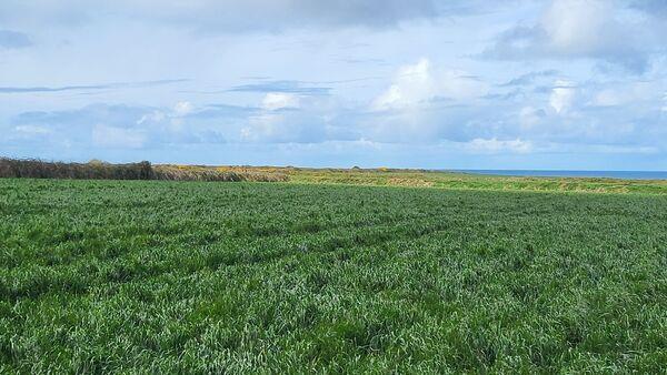 21-acre grassland holding close to the coast of North Kerry under offer